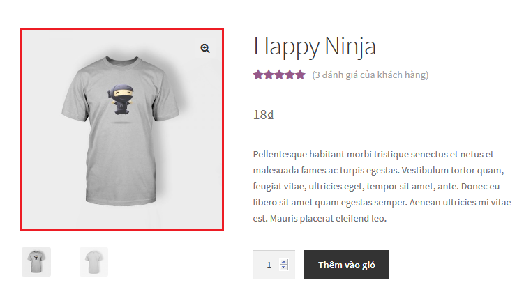 Thay đổi kích thước ảnh sản phẩm woocommerce